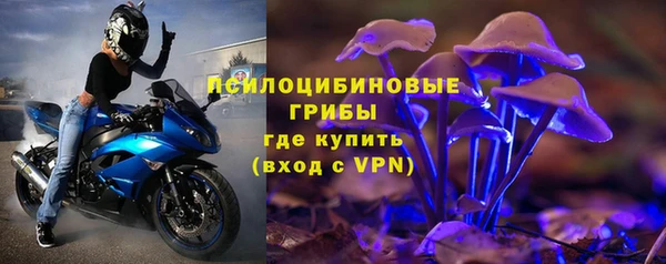 дурь Алексин