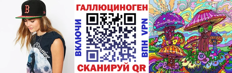 Галлюциногенные грибы Psilocybine cubensis магазин Константиновск